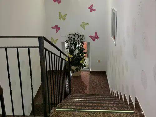 Galerija slika